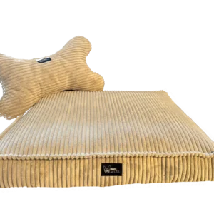 CozyCord