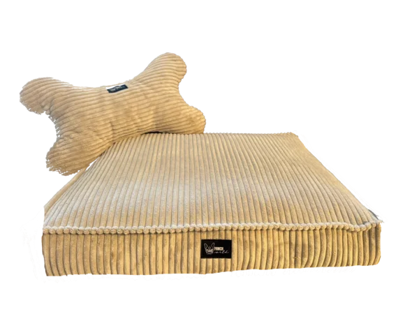 item1 CozyCord
